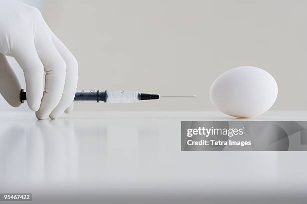 Egg Injection System Injection Egg Photos and Premium High Res Pictures - Getty Images