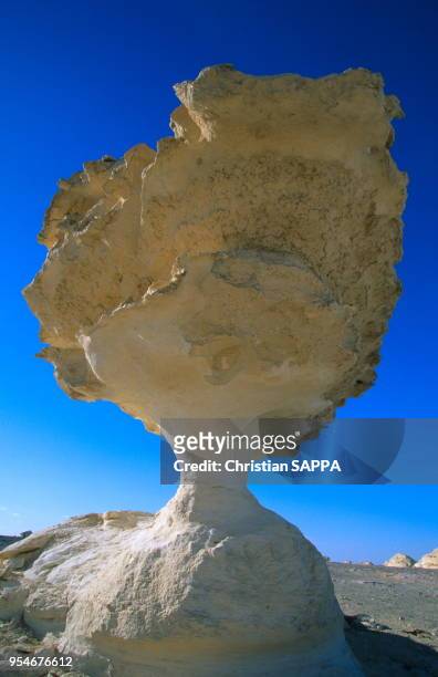 Le désert blanc doit son nom à d'étranges blocs de calcaire érodés par le vent qui dessinent des figures surprenantes au milieu du désert, circa...