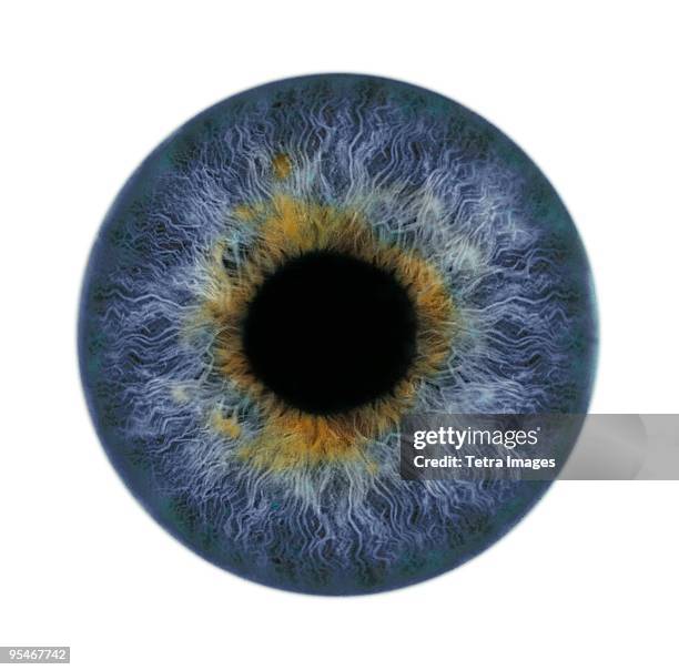 close-up of iris and pupil - cornea stock-fotos und bilder