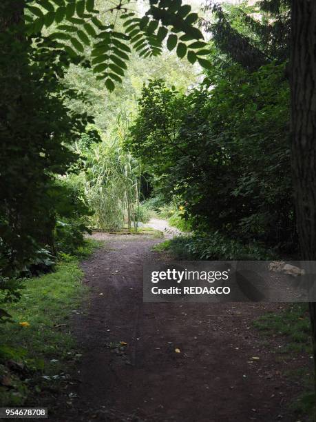 Orto Botanico di Brera, botanical garden, University of Milan, Milan, Lombardy, Italy, Europe.