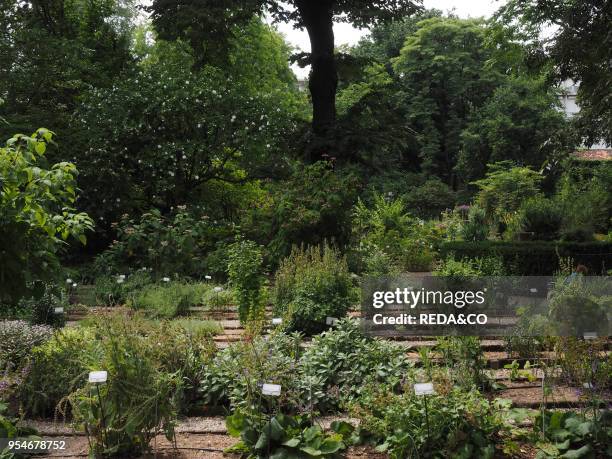 Orto Botanico di Brera, botanical garden, University of Milan, Milan, Lombardy, Italy, Europe.