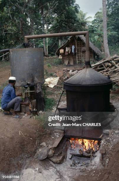 Distillerie d'ylang-ylang à Mayotte, pour la fabrication d'huiles essentielles, en octobre 1990.