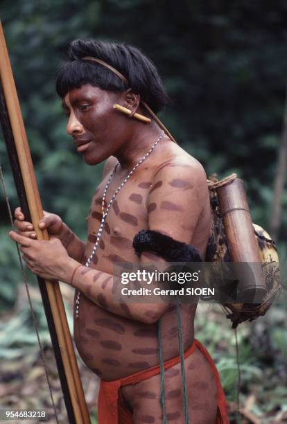 Indien Yanomami au Venezuela, en février 1980.
