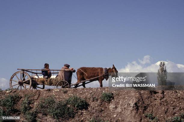 Paysans sur une charrette près d'Ararat, en août 1993, Arménie.