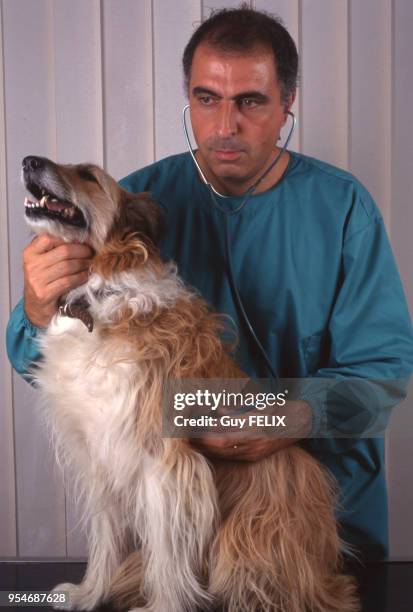 Vétérianire auscultant un chien avec son stéthoscope.
