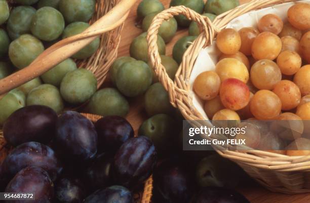 Assortiment de prunes de variété Reine-claude, Mirabelle et Quetsche.