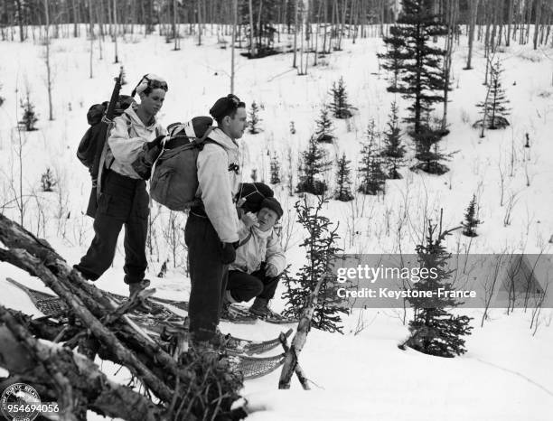 Trois hommes de l'infanterie canadienne réajuste leur sac à dos avant de repartir à l'entraînement dans la forêt enneigée de Yukon, Canada.