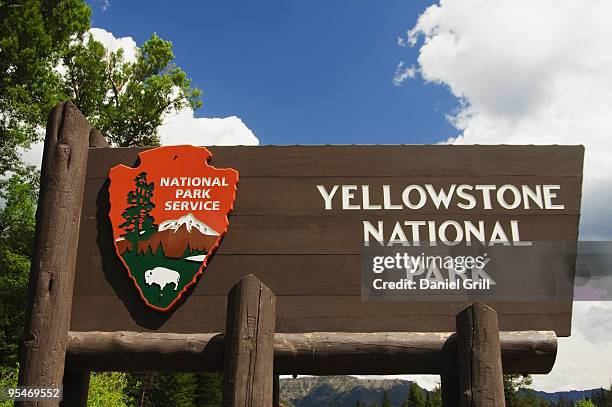 yellowstone national park - yellowstone national park stock pictures, royalty-free photos & images