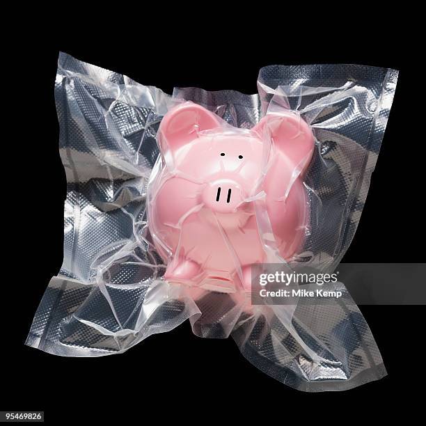 shrink wrapped piggy bank - vacuum packed fotografías e imágenes de stock