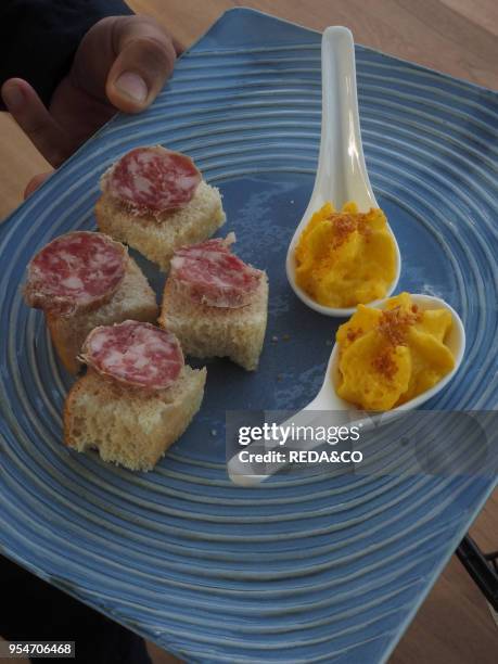 Restaurant Terrazza della Triennale terrace, Palazzo della Triennale, design and architecture museum, Parco Sempione park, Milan, Lombardy, Italy,...