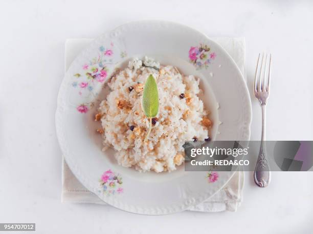 Risotto with walnuts, sage, Fontina cheese and juniper berries, Italy, Europe.