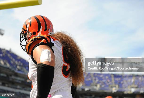 Domata Peko of the Cincinnati Bengals looks on before a game against the Baltimore Ravens at M&T Bank Stadium on October 11, 2009 in Baltimore,...