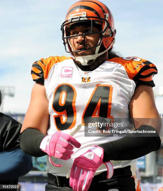 Domata Peko of the Cincinnati Bengals looks on before a game against the Baltimore Ravens at M&T Bank Stadium on October 11, 2009 in Baltimore,...