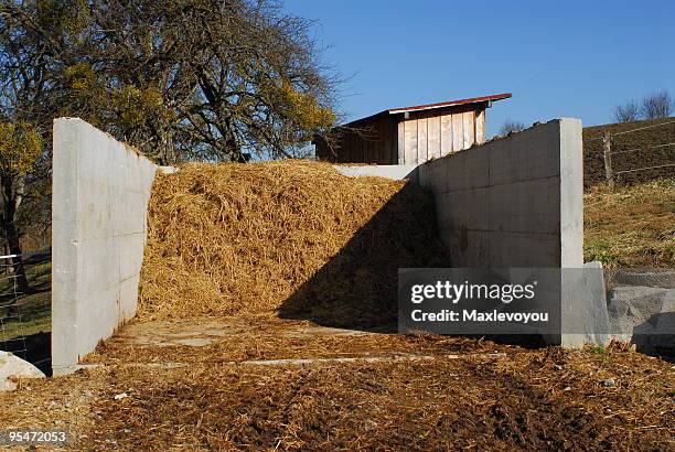 horse dung - ugly horses stock pictures, royalty-free photos & images