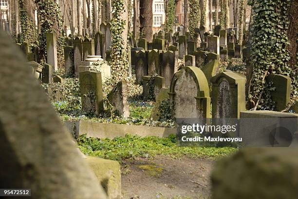 friedhof cemetery - jewish funeral stock pictures, royalty-free photos & images