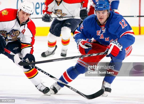 Ales Kotalik of the New York Rangers skates for the puck under pressure by a Florida Panther on December 23, 2009 at Madison Square Garden in New...