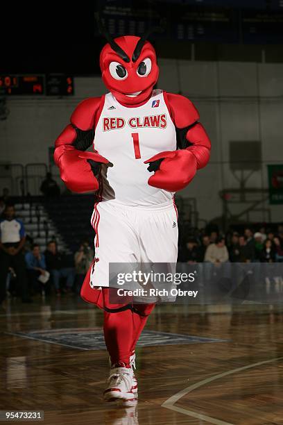 The Maine Red Claws mascot runs around the court during the NBA D-League game against the Tulsa 66ers on December 13, 2009 at the Portland Expo in...