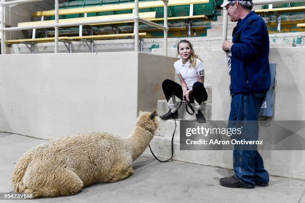 Glenn Lepp stands with his granddaughter, Whitnie Wood, as she sits with her alpaca, Ellie, during the Great Western Alpaca Show on Friday, May 4,...