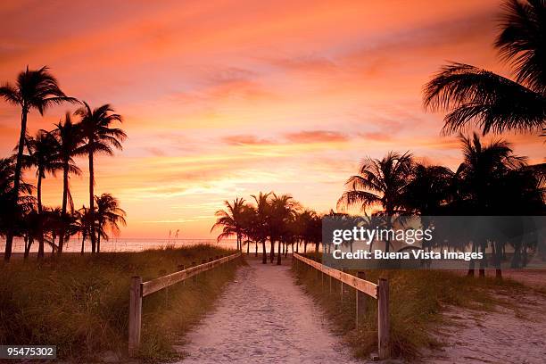 sunrise over crandon beach in key biscayne - key biscayne florida stock-fotos und bilder