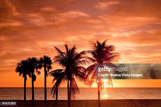 sunrise over crandon beach in key biscayne - key biscayne florida stock-fotos und bilder