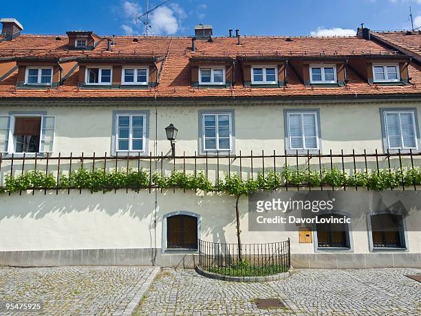 old vine house - maribor slovenia stock pictures, royalty-free photos & images