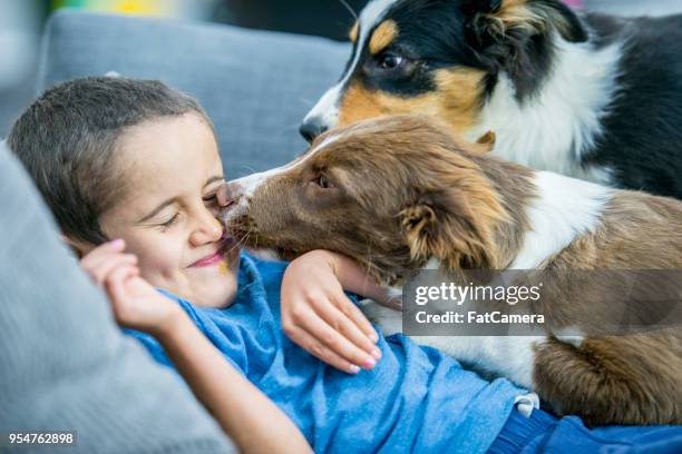 leuke jongen wordt gelikt door een pup - dog licking face stockfoto's en -beelden