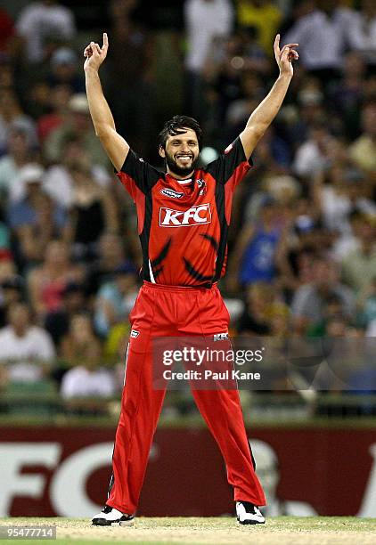 Shahid Afridi of the Redbacks celebrates the wicket of Brad Knowles during the Twenty20 Big Bash match between the West Australian Warriors and the...