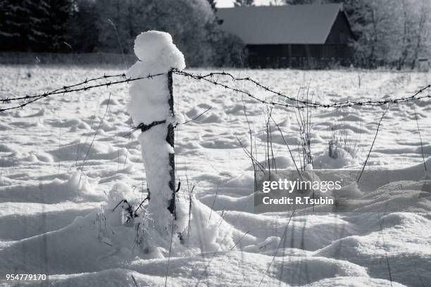 barbed wire fence with snow - black and white photo - gulag stock pictures, royalty-free photos & images