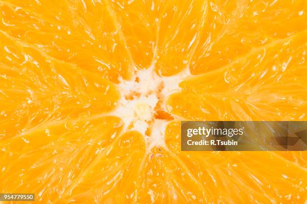 macro photo of an orange for backgrounds - pith bildbanksfoton och bilder