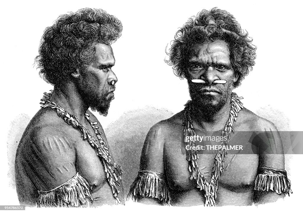 Queenslander australian engraving 1894