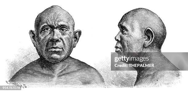 hairless australian engraving 1894 - first nations stock illustrations