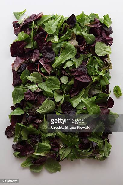mixed greens - green salad foto e immagini stock