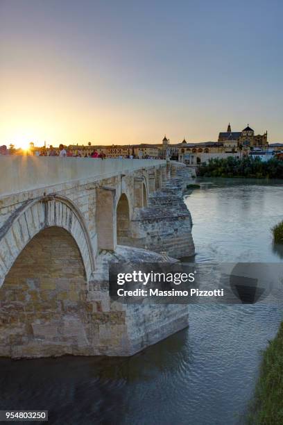 the roman bridge and the mosque cathedral, cordoba - massimo pizzotti stock pictures, royalty-free photos & images