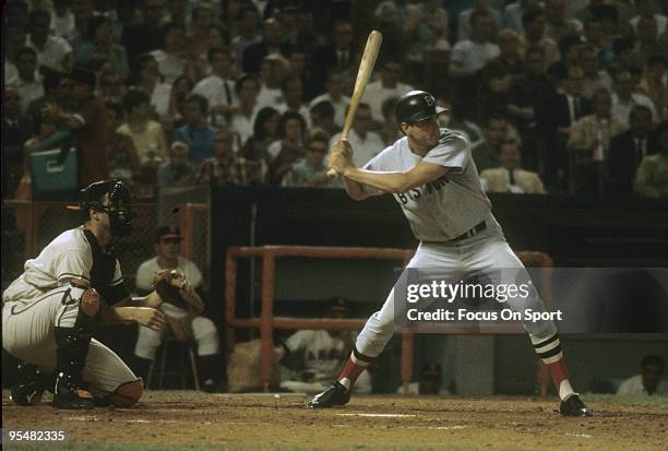 S: Outfielder Tony Conigliaro of the Boston Red Sox at the plate ready to hit against the Anaheim Angels during a circa mid 1960's Major League...