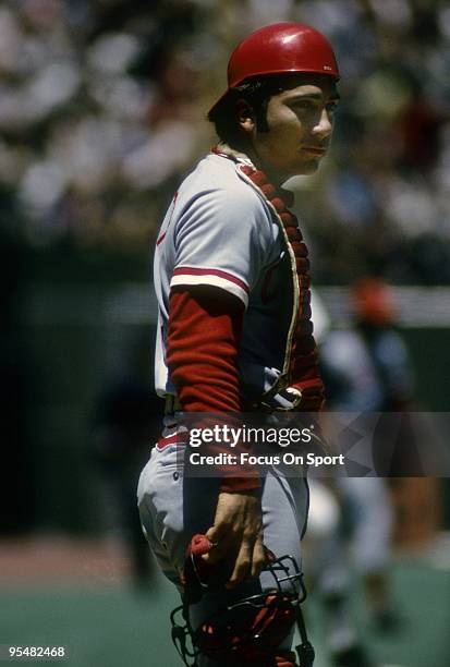 Catcher Johnny Bench of the Cincinnati Reds with mask off standing at home plate during a MLB baseball game circa 1970's. Bench Played for the Reds...