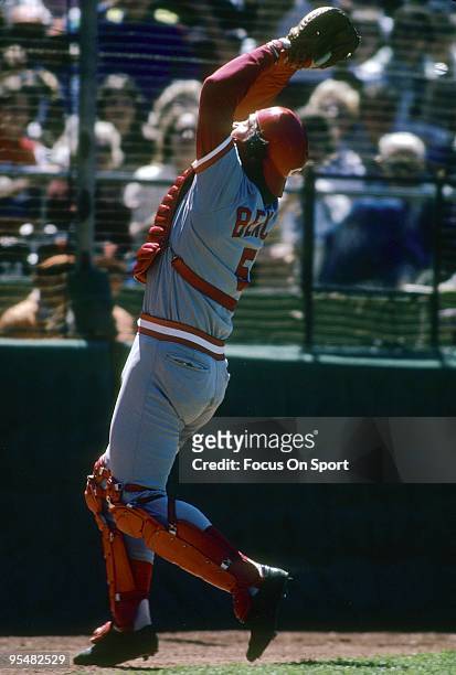 Catcher Johnny Bench of the Cincinnati Reds in action catches a foul pop-up during a MLB baseball game circa 1970's. Bench Played for the Reds from...