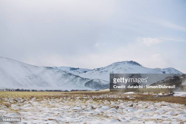 steppe near lake baikal - snow on grass stock pictures, royalty-free photos & images