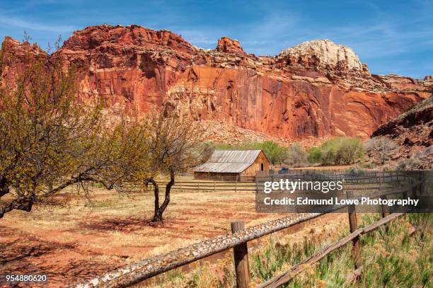 fruita, capitol reef national park, utah. - capitol reef national park fotografías e imágenes de stock