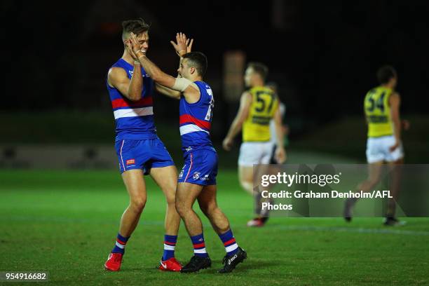 Joshua Schache of Footscray and Andrew Panayi of Footscray celebrate a goal during the round five VFL match between Footscray and Richmond at Whitten...