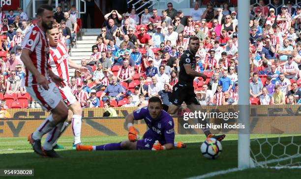 James McArthur of Crystal Palace watches on as he scores his sides first goal past Jack Butland of Stoke City during the Premier League match between...