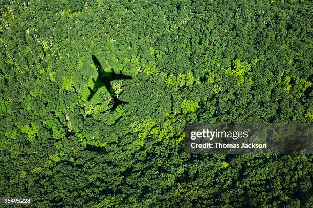 shadow of airplane over forest - luftfahrzeug stock-fotos und bilder
