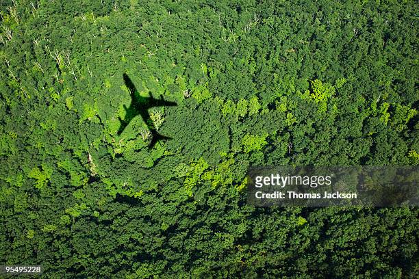 shadow of airplane over forest - avión fotografías e imágenes de stock