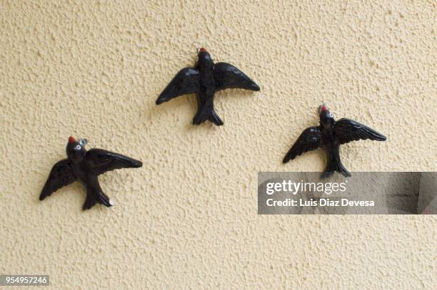 swallow of porcelain - earthenware stock pictures, royalty-free photos & images