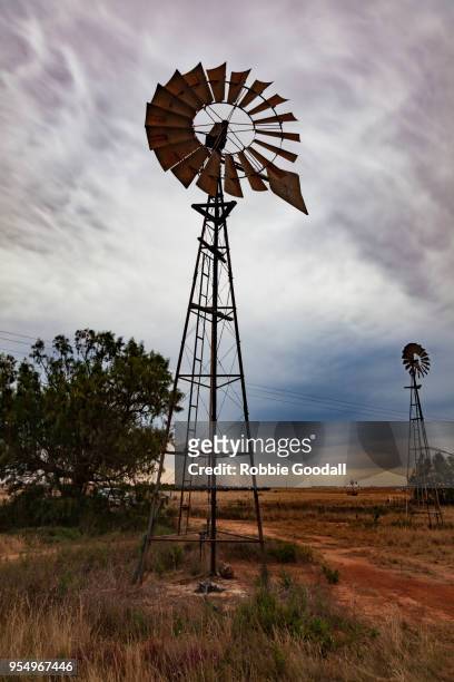 windmill - penong, south australia - outback windmill bildbanksfoton och bilder