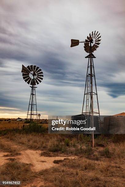 windmills - penong, south australia - outback windmill bildbanksfoton och bilder