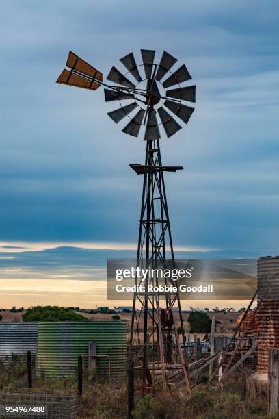 windmill - penong, south australia - outback windmill bildbanksfoton och bilder