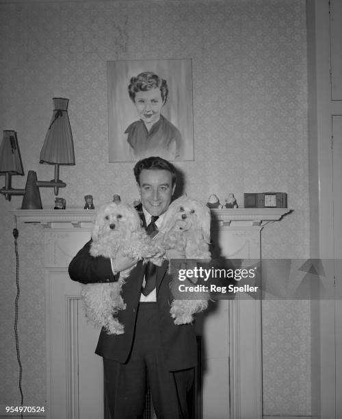 English actor Peter Sellers with his two dogs at home in Highgate Village, London, circa 1954.