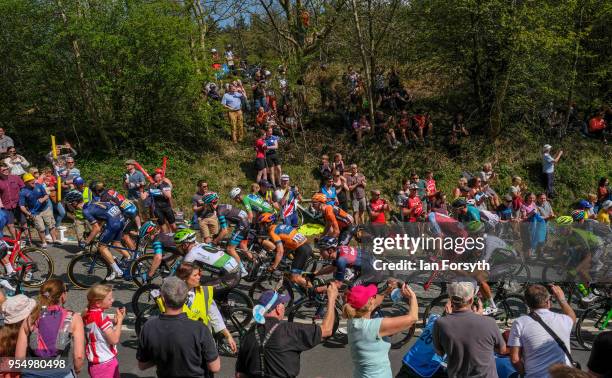 Riders in the peloton climb up the iconic Sutton Bank during the third stage of the Tour de Yorkshire cycling race on May 5, 2018 in Thirsk, United...