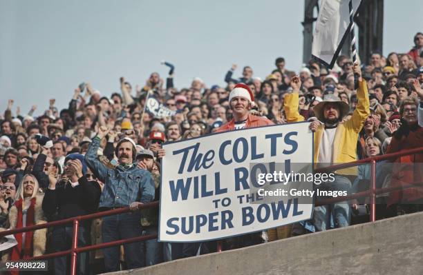 Baltimore Colts fans show their support during the American Football Conference Divisional Playoffl game against the Pittsburgh Steelers on 19...