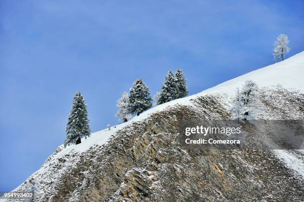 Cedar Tree Range 423 Cedar Mountain Range Stock Photos, High-Res Pictures, and Images ...